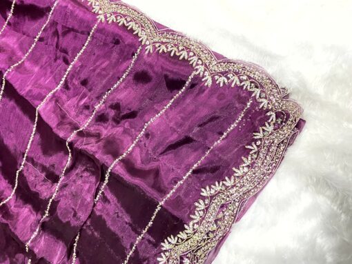Jimmy Choo Hand work and Party Wear Saree - Image 9