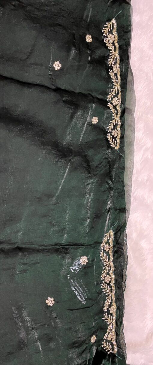 Tarahood Designer Hand Work and Pary Wear Fendi Saree - Image 5