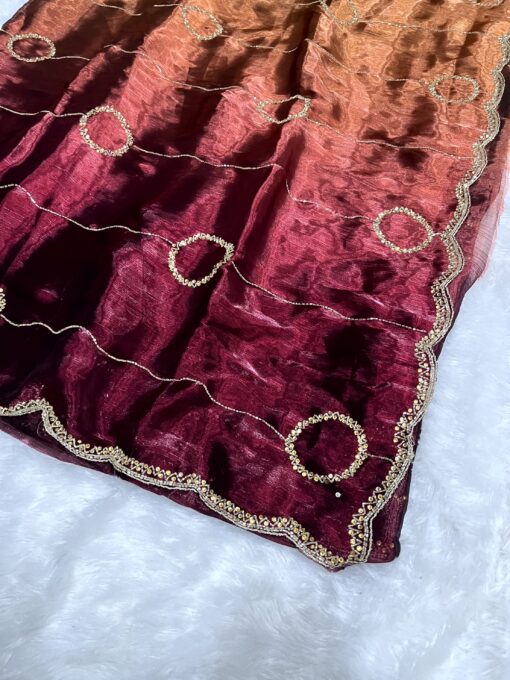 Jimmy Choo Dual Shade Hand work Saree - Image 7
