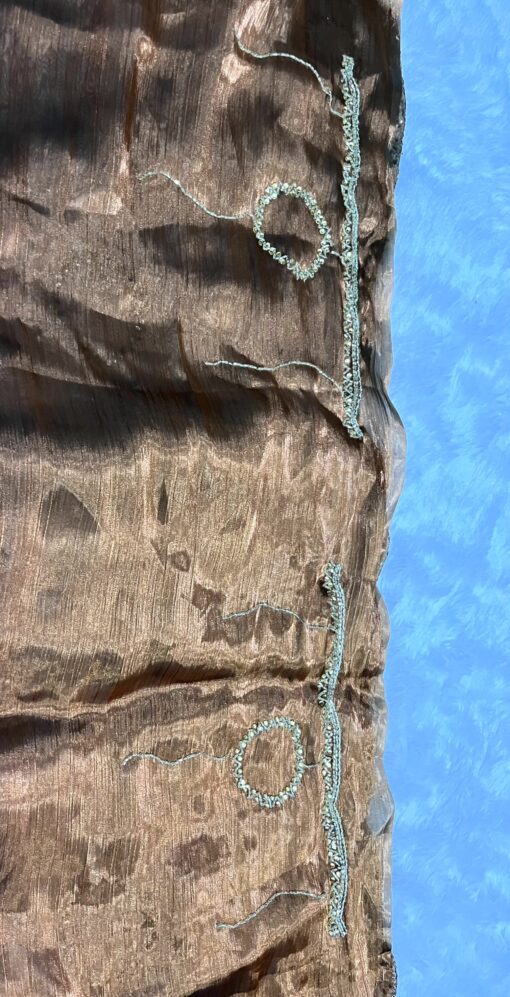 Jimmy Choo Dual Shade Hand work Saree - Image 9