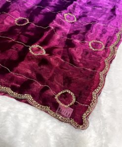 Jimmy Choo Dual Shade Hand work Saree