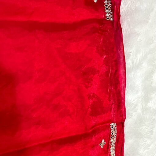 Tarahood designer hand work and party wear fendi saree - Image 12
