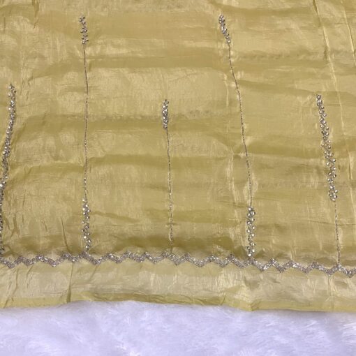 Tarahood Designer Hand Work and Party Wear Fendi Saree - Image 11