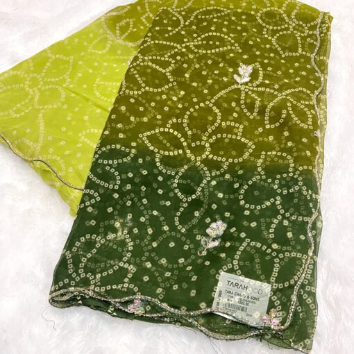Tarahood Designer Chiffon Hand work and Party wear Saree - Image 11