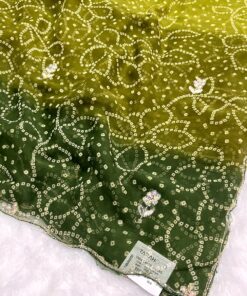 Tarahood Designer Chiffon Hand work and Party wear Saree