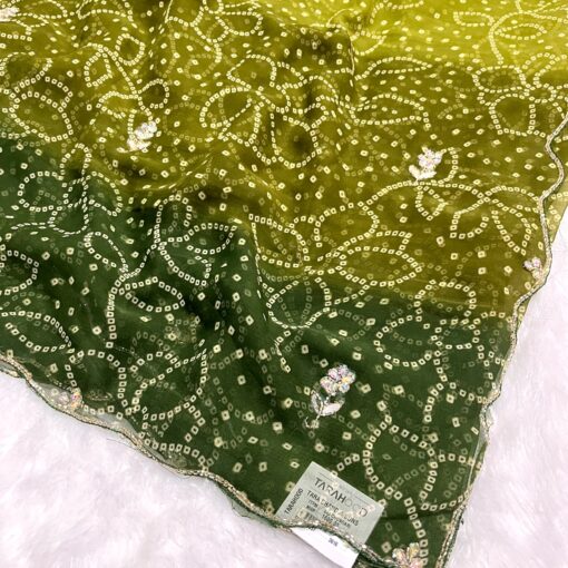 Tarahood Designer Chiffon Hand work and Party wear Saree