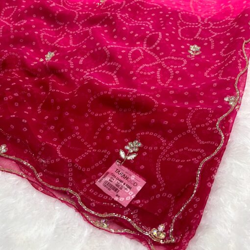 Tarahood Designer Chiffon Hand work and Party wear Saree - Image 4