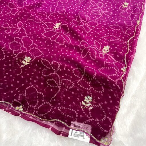Tarahood Designer Chiffon Hand work and Party wear Saree - Image 2