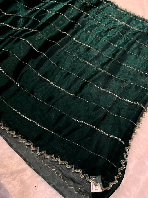Jimmy Choo Designer Hand work and Party wear Saree - Image 7