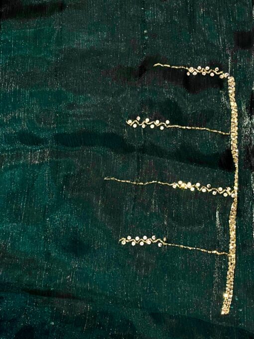 Jimmy Choo Designer Hand work and Party wear Saree - Image 11