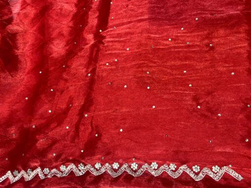Jimmy Choo Designer Handwork and Party Wear Saree - Image 5