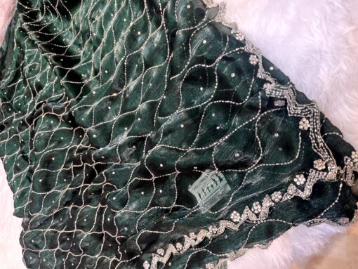 Jimmy Choo Designer Handwork and Party Wear Saree - Image 24