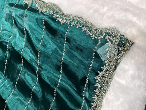 Jimmy Choo Hand work and Party Wear Saree - Image 2