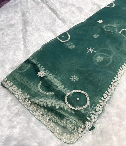 Tarahood Designer Mausam Handwork Saree - Image 6