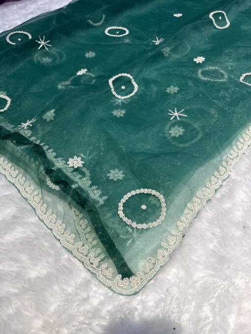Tarahood Designer Mausam Handwork Saree - Image 7